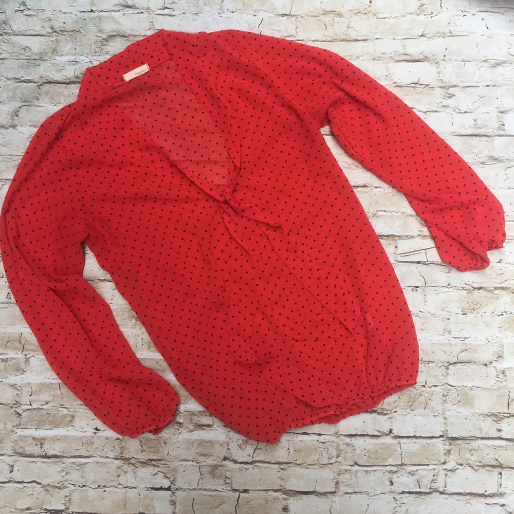 Everly Sheer Polka Dot Blouse with bow tie